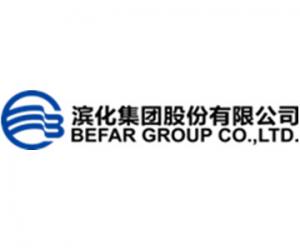 濱化集團股份有限公司